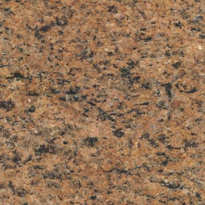 Bahia Gold